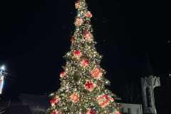 590912934_833566919543676_3623289444746161139_n